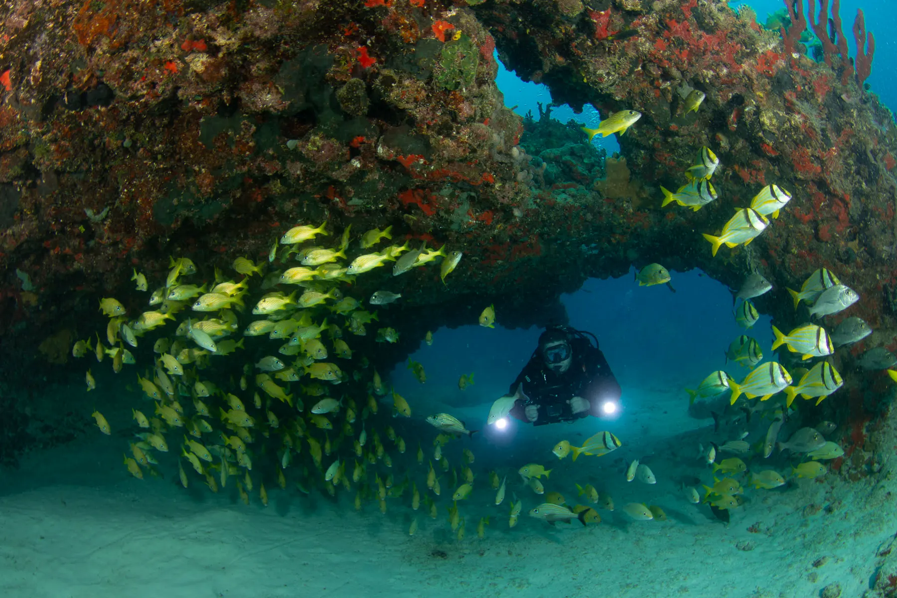 Mexikó - Playa Del Carmen, Xico Dive Center - 2026