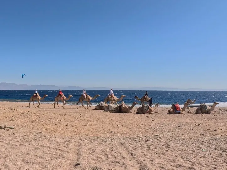 Egyiptom - Dahab, Lighthouse DC - 2025