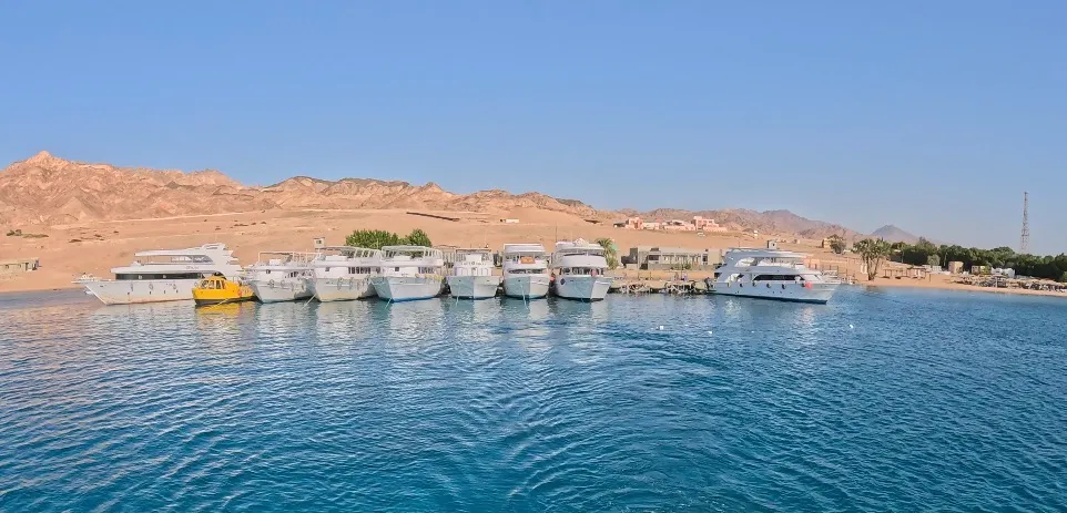 Egyiptom - Dahab, Lighthouse DC - 2025