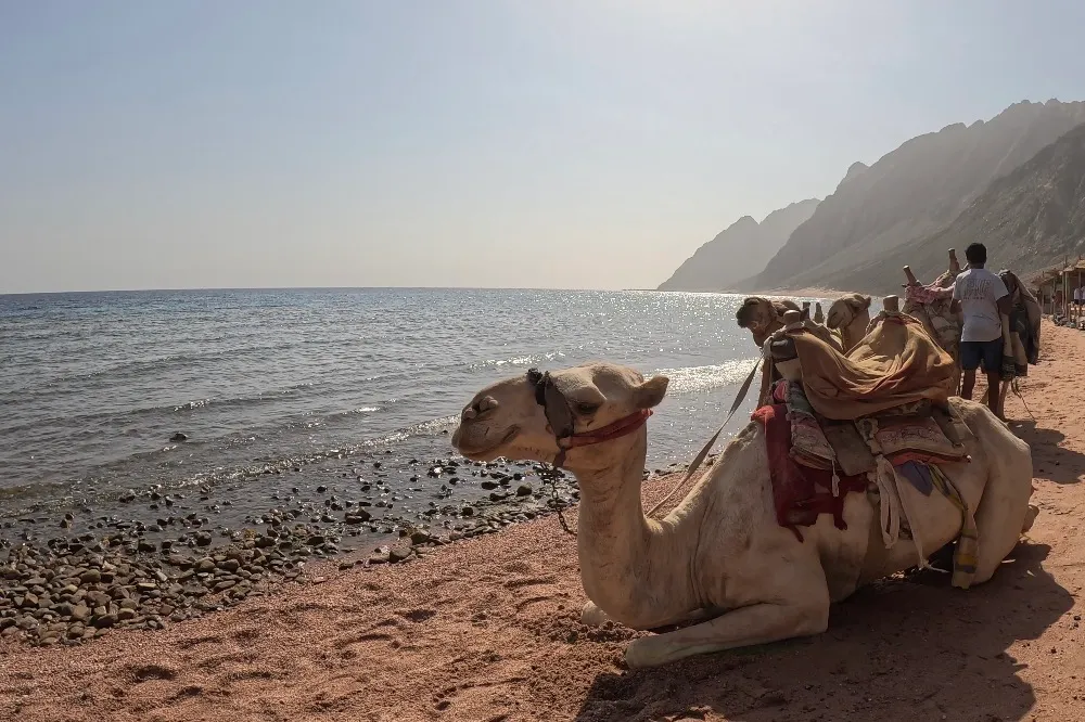Egyiptom - Dahab, Lighthouse DC - 2025