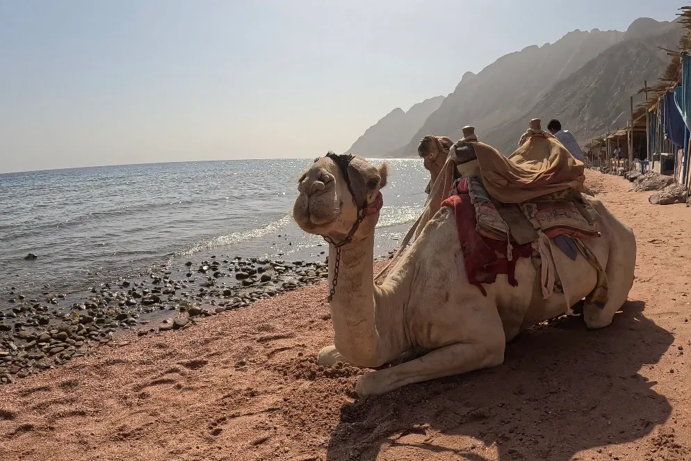 Egyiptom - Dahab, Lighthouse DC - 2025