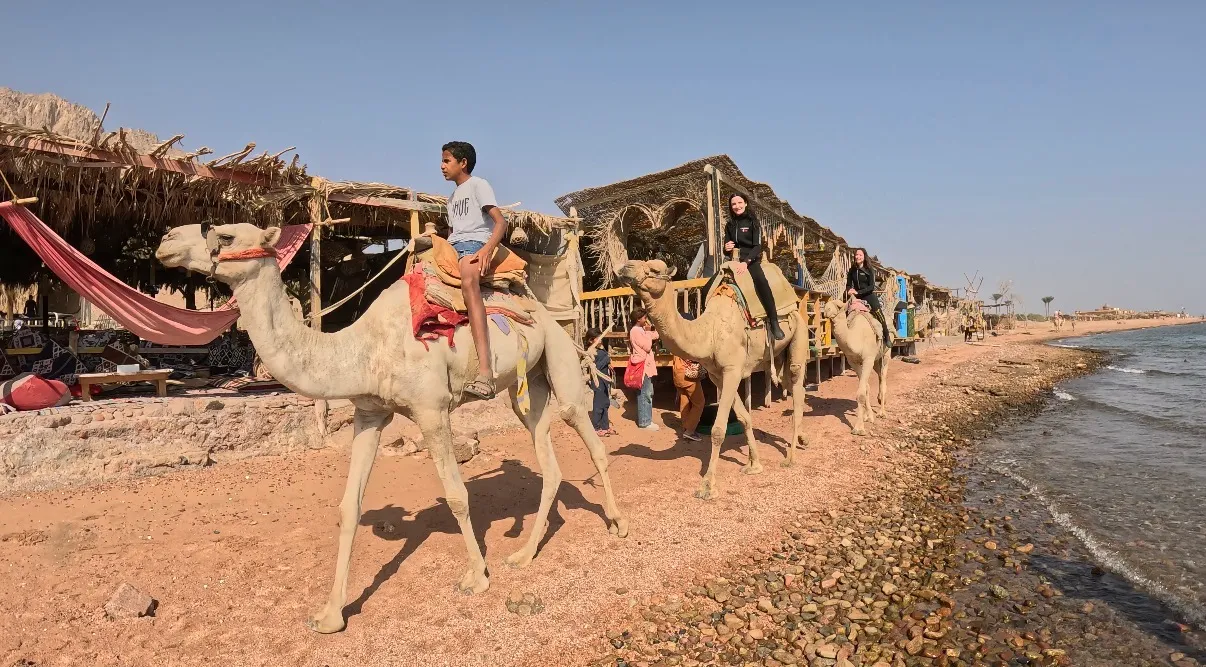Egyiptom - Dahab, Lighthouse DC - 2025