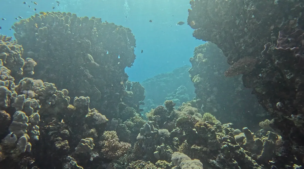 Egyiptom - Dahab, Lighthouse DC - 2025