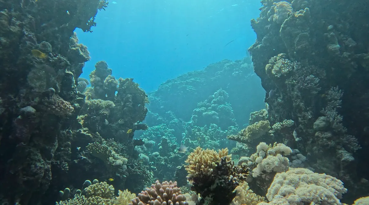 Egyiptom - Dahab, Lighthouse DC - 2025