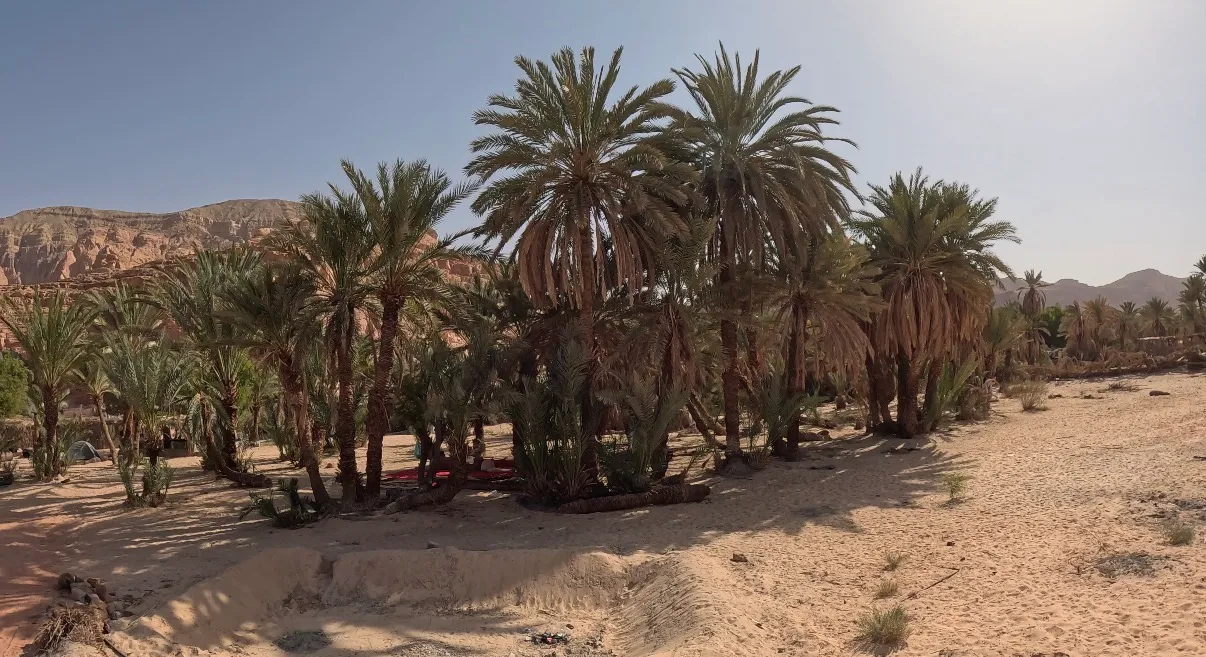 Egyiptom - Dahab, Lighthouse DC - 2025