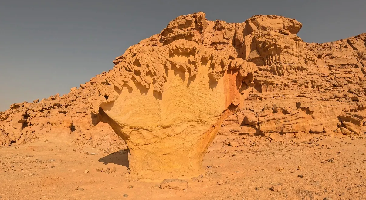 Egyiptom - Dahab, Lighthouse DC - 2025