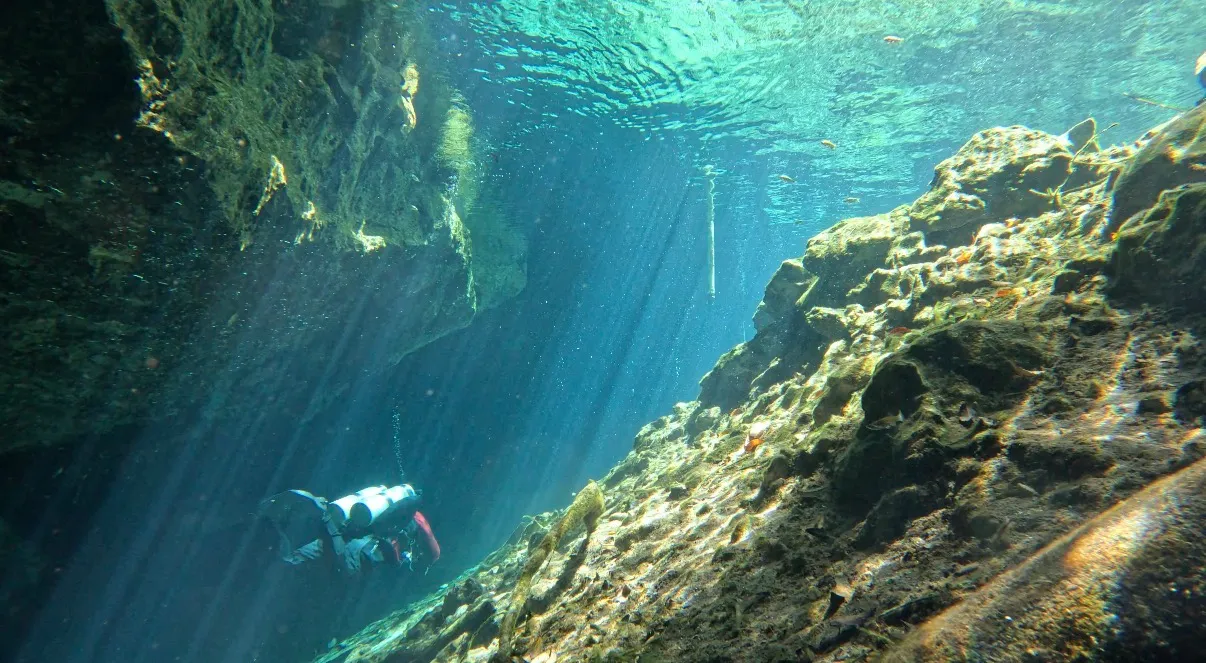 Mexikó - Playa Del Carmen, Xico Dive Center - 2026