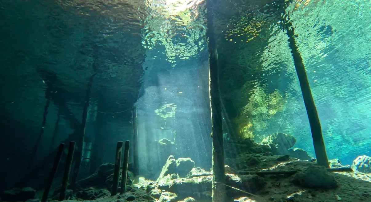 Mexikó - Playa Del Carmen, Xico Dive Center - 2026