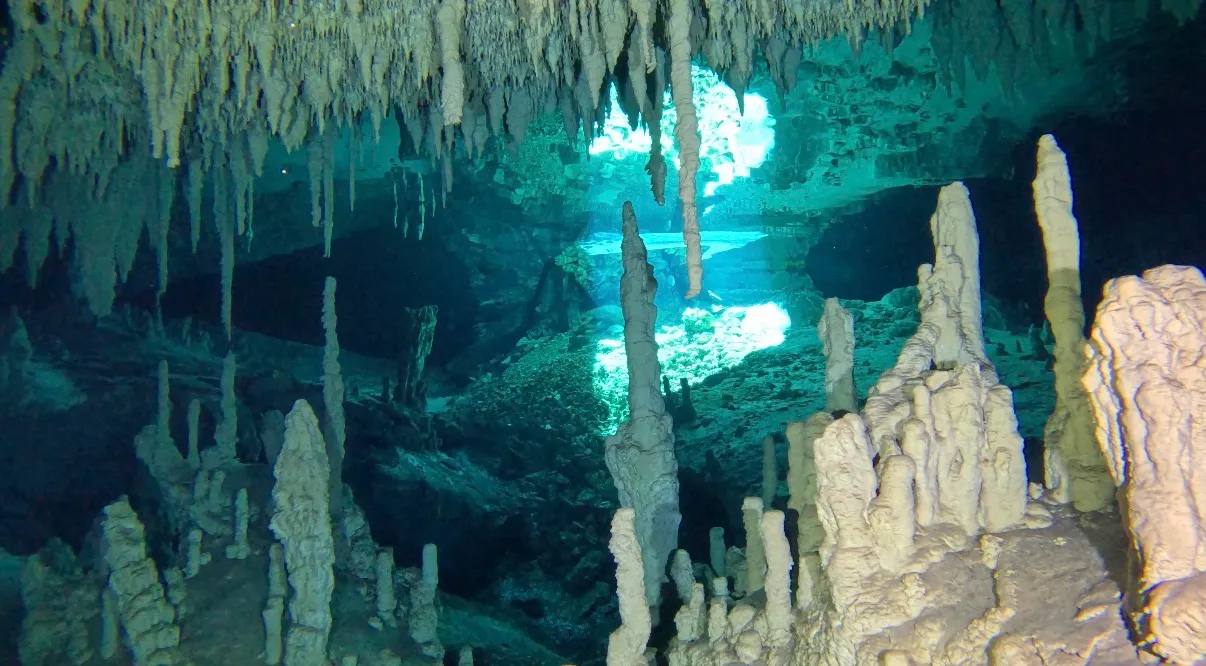 Mexikó - Playa Del Carmen, Xico Dive Center - 2026