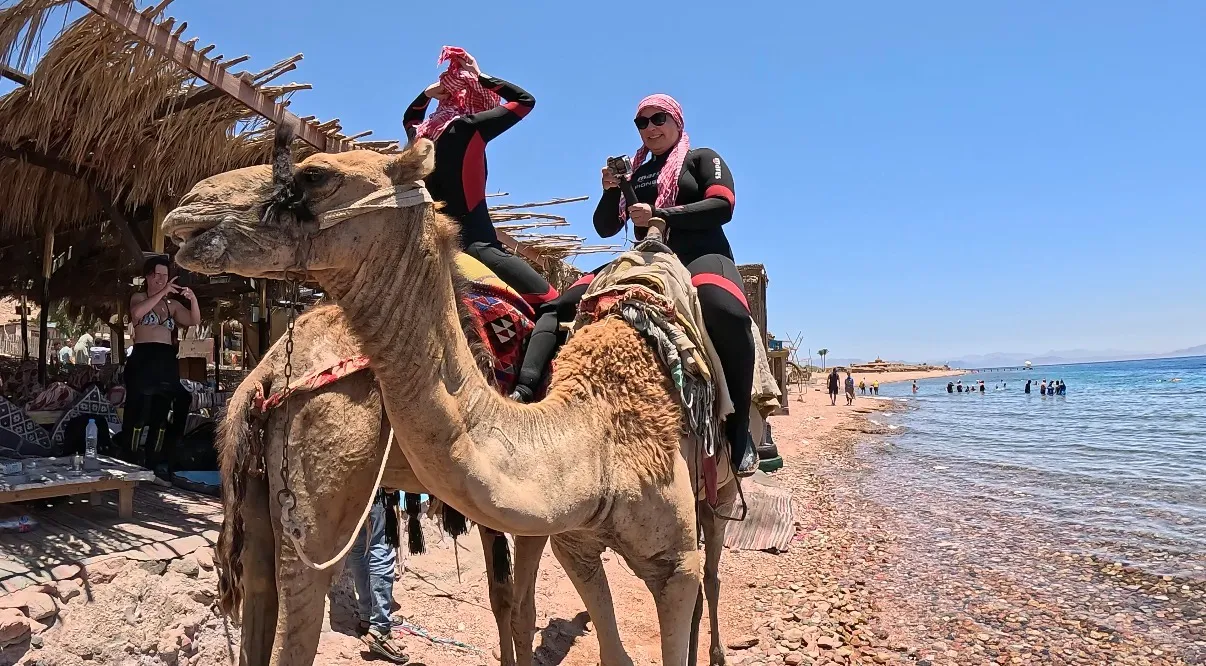 Egyiptom - Dahab, Lighthouse DC - 2026 Június