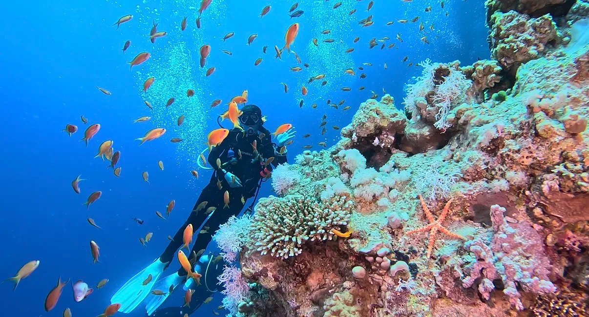 Egyiptom - Dahab, Lighthouse DC - 2026 Június