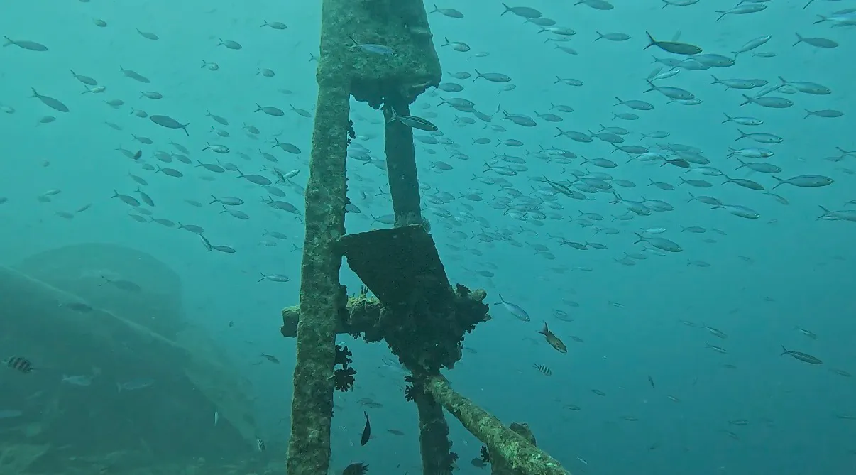 Egyiptom - Északi szafari, Lighthouse Miracle-1 - 2026